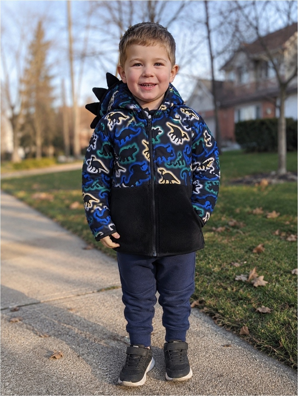 Dinosaur Hooded Jacket Size 4 Boys Fleece Lined Coat